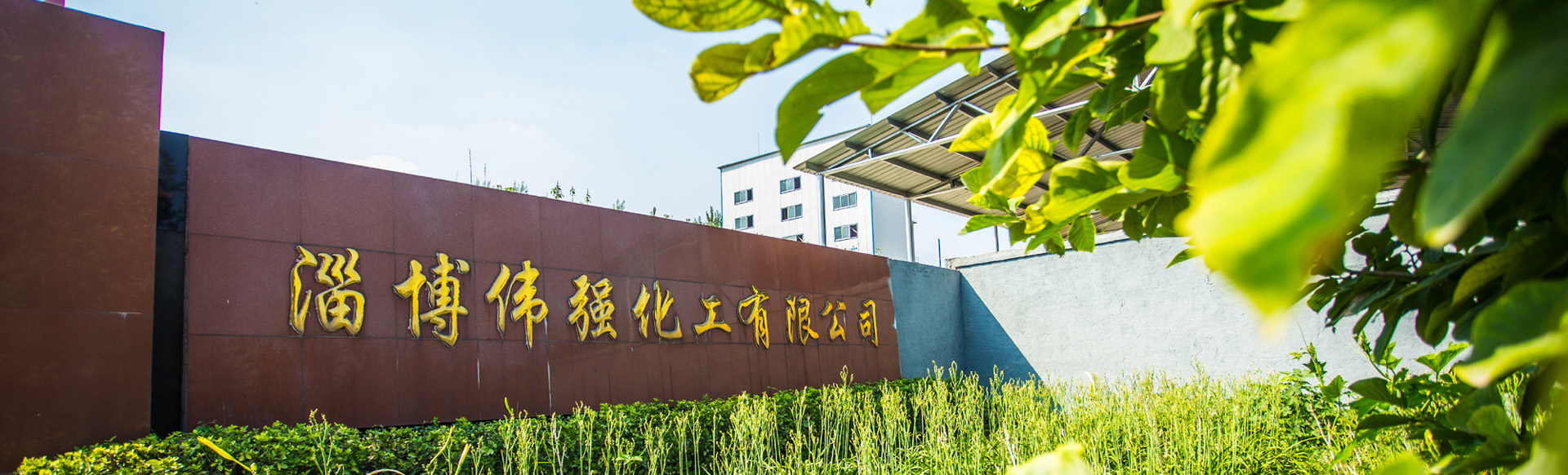 淄博偉強(qiáng)化工有限公司